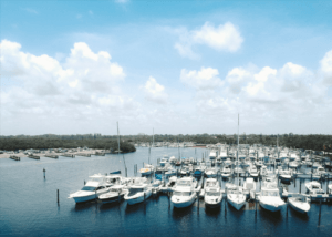 Must-Have Dock Accessories to Elevate Your Dock Experience 2 Best Dock Accessories