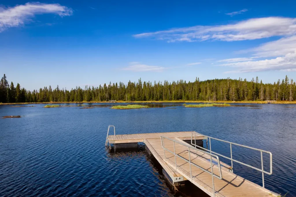 dock shapes and configurations