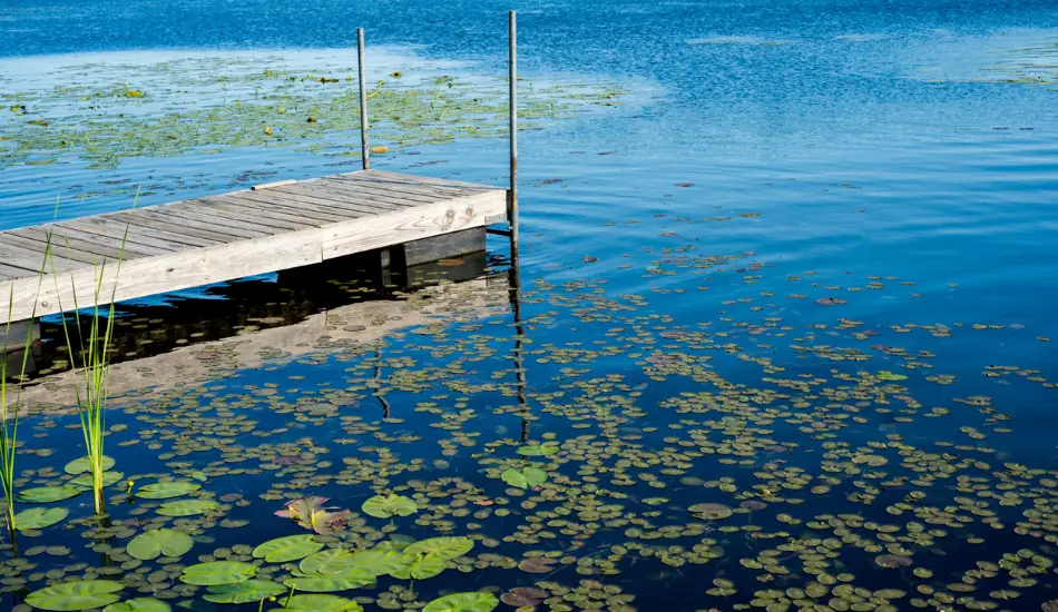 how to build a small dock for a pond